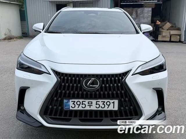 2026 Lexus N-Class — صورة 1